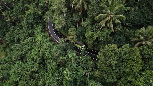 fascinating jungle route in Bus simulator Mod APk