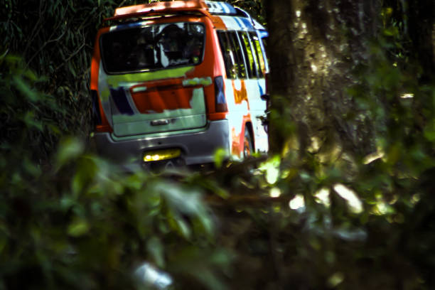 jungle mode
